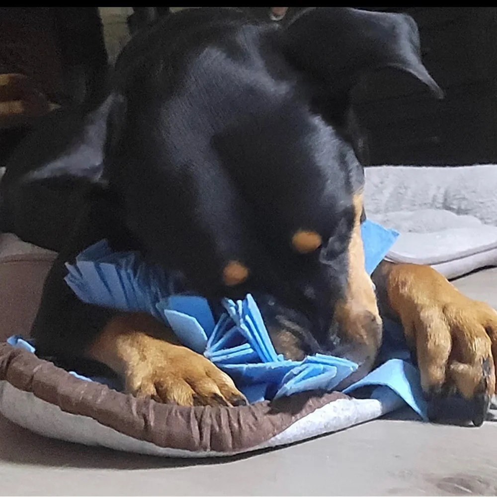 Barkz Adjustable Snuffle Mat For Dog -EnrichmentToy NWOB